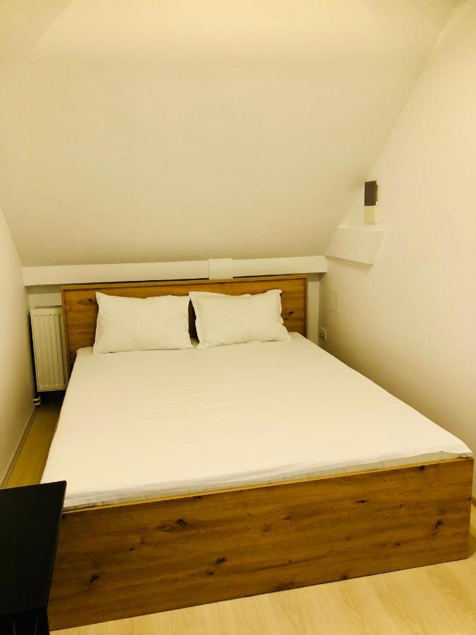 Ultra-Central Modern And Big Apartments In Union Square U41-U44 Timisoara Luaran gambar