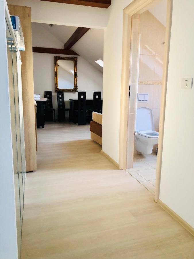 Ultra-Central Modern And Big Apartments In Union Square U41-U44 Timisoara Luaran gambar