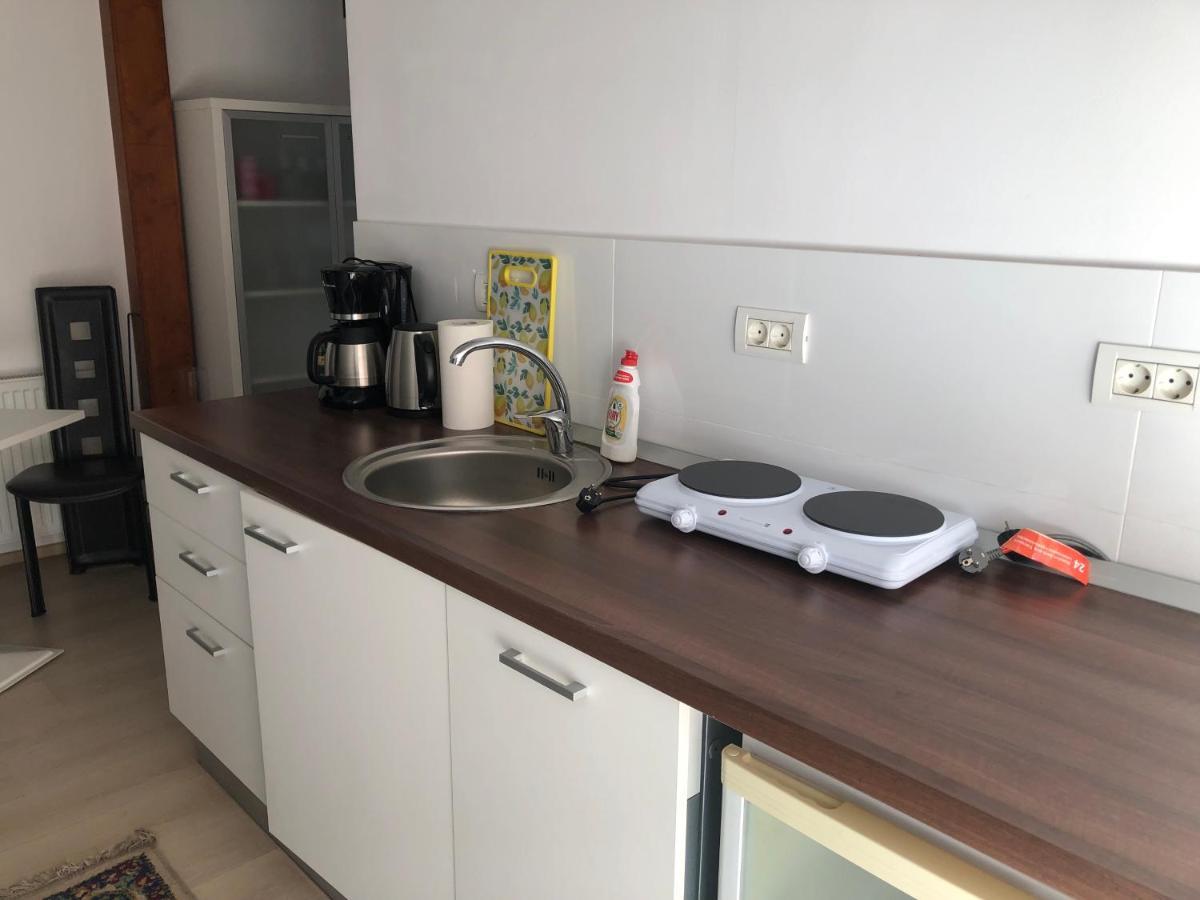 Ultra-Central Modern And Big Apartments In Union Square U41-U44 Timisoara Luaran gambar