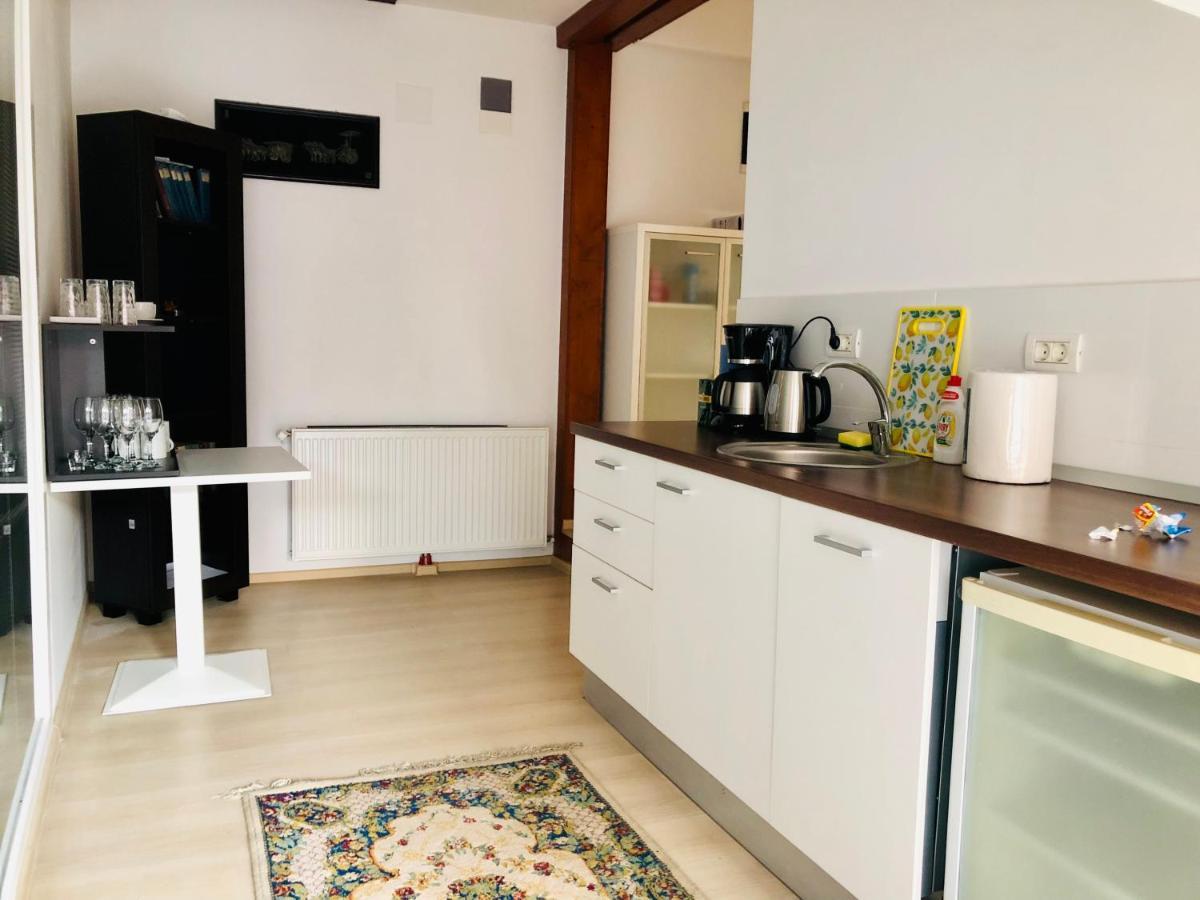 Ultra-Central Modern And Big Apartments In Union Square U41-U44 Timisoara Luaran gambar