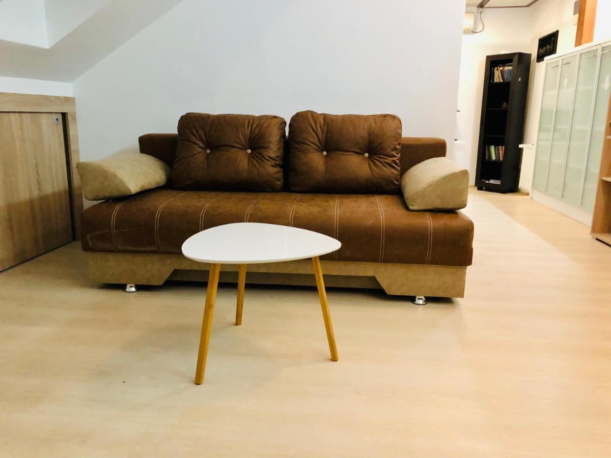Ultra-Central Modern And Big Apartments In Union Square U41-U44 Timisoara Luaran gambar