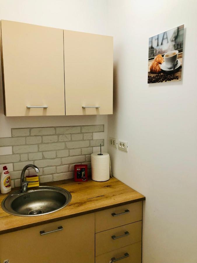 Ultra-Central Modern And Big Apartments In Union Square U41-U44 Timisoara Luaran gambar