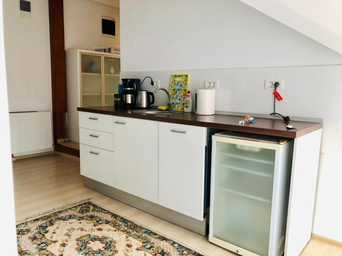 Ultra-Central Modern And Big Apartments In Union Square U41-U44 Timisoara Luaran gambar