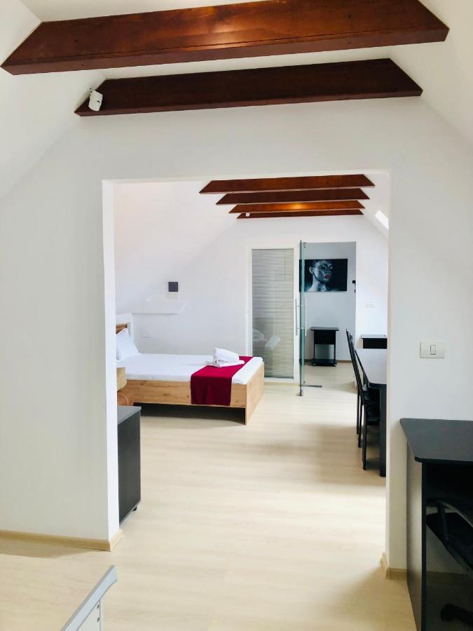 Ultra-Central Modern And Big Apartments In Union Square U41-U44 Timisoara Luaran gambar