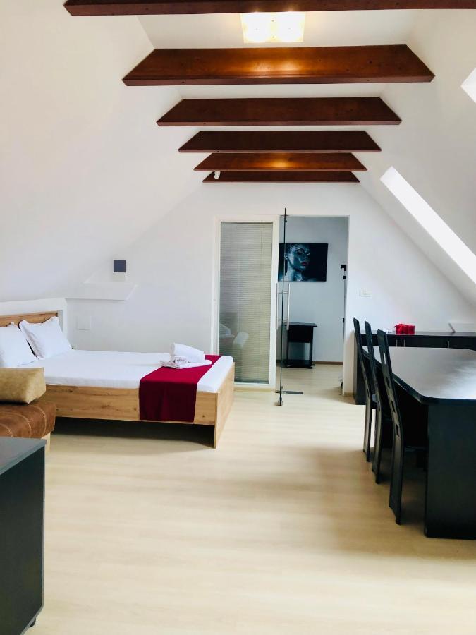 Ultra-Central Modern And Big Apartments In Union Square U41-U44 Timisoara Luaran gambar
