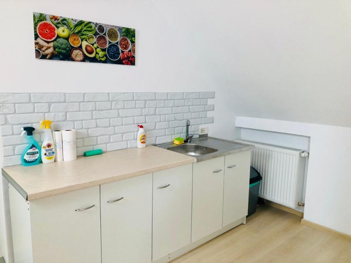 Ultra-Central Modern And Big Apartments In Union Square U41-U44 Timisoara Luaran gambar