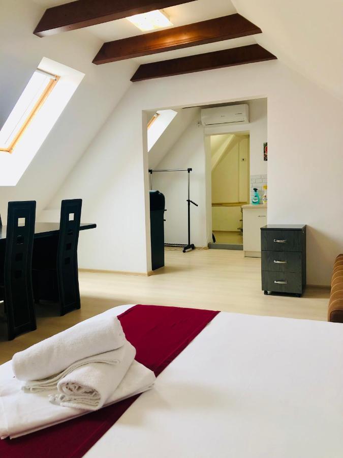 Ultra-Central Modern And Big Apartments In Union Square U41-U44 Timisoara Luaran gambar