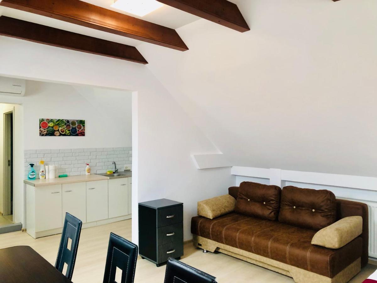 Ultra-Central Modern And Big Apartments In Union Square U41-U44 Timisoara Luaran gambar